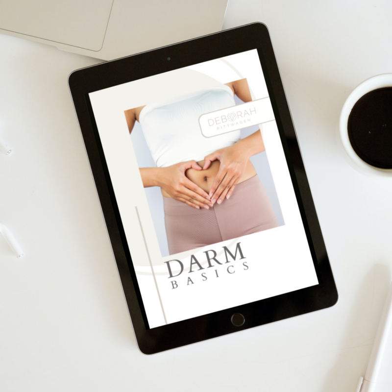 Darm Basics E-Book